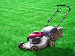 mower