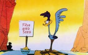 free bird seed