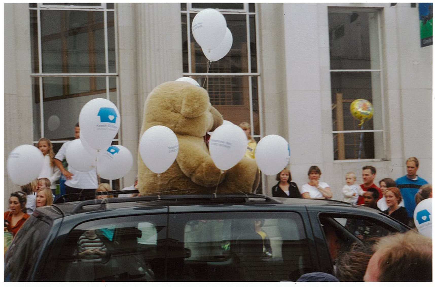 bear