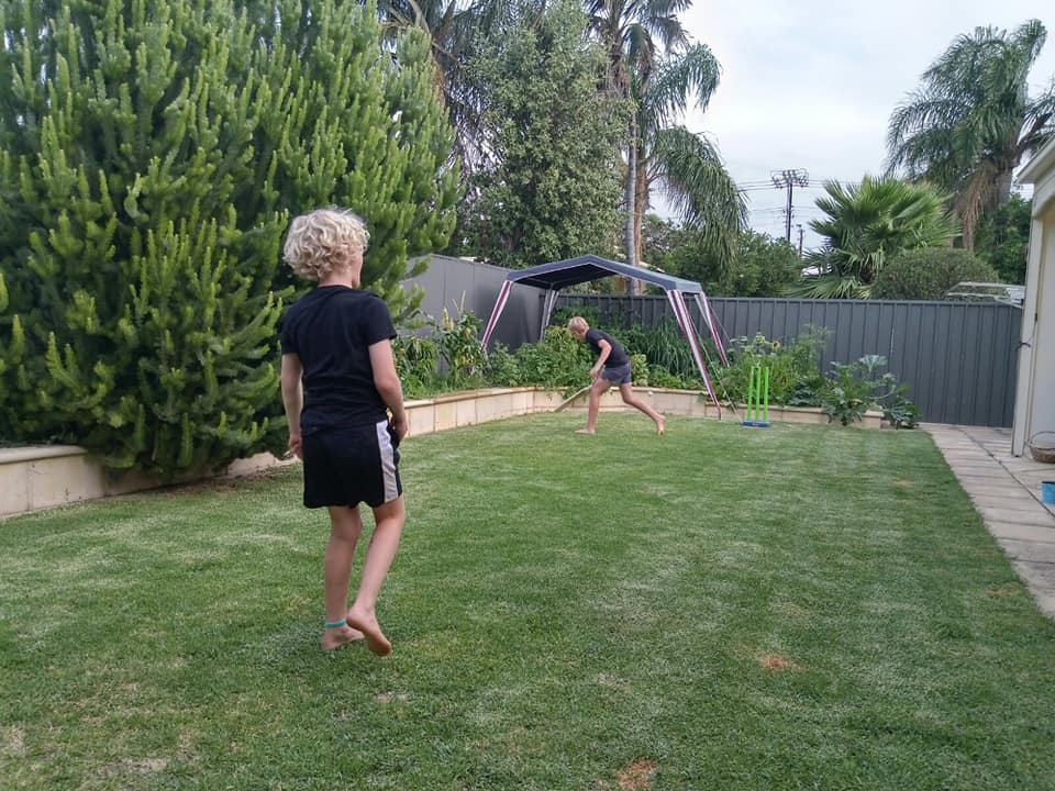 cricket 1