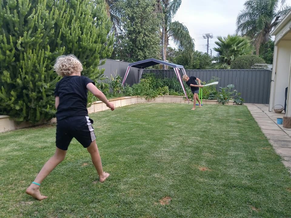 cricket 2