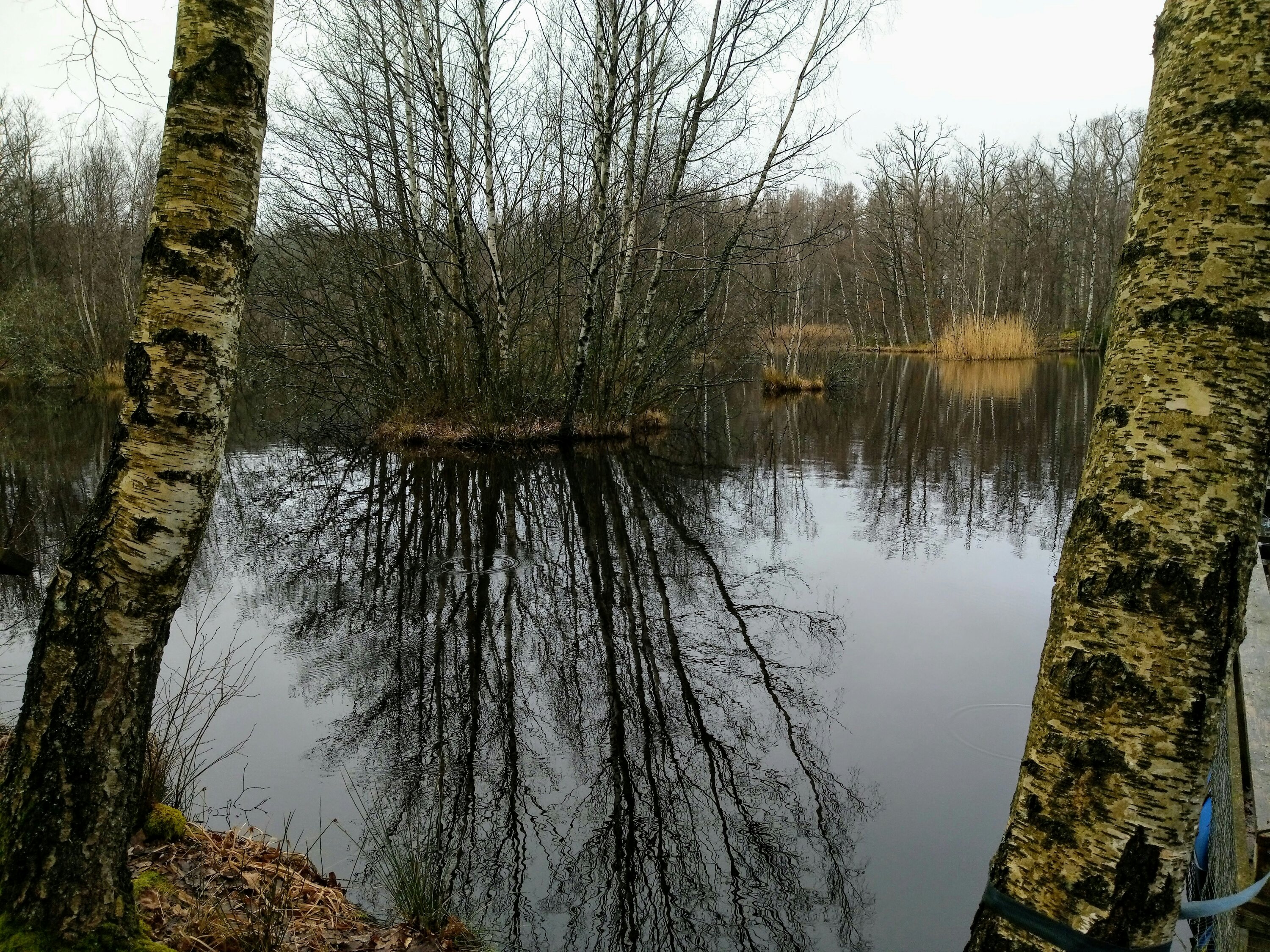 wp-1584548957105-1853533593.jpg