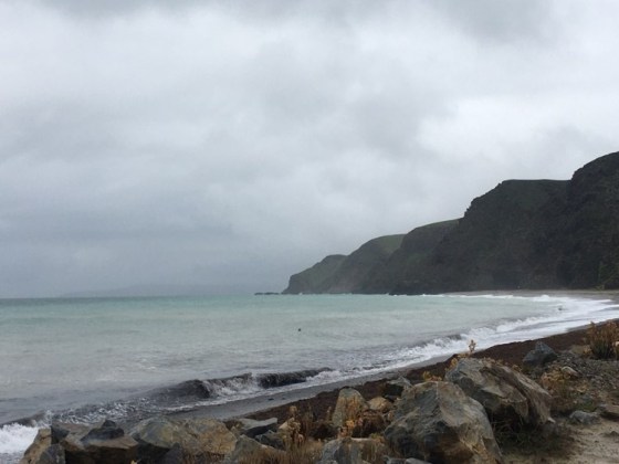 rapid bay